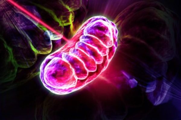 Resetarea energetica profunda in era tehnologiei EESYSTEM - Quantum Space Bucuresti